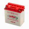 Motorcycle Battery